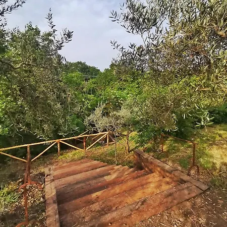 Casa di campagna Morus Tiny House *