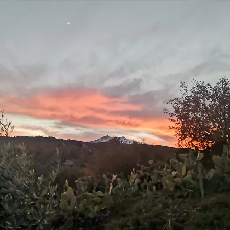 Morus Tiny House Piedimonte Etneo