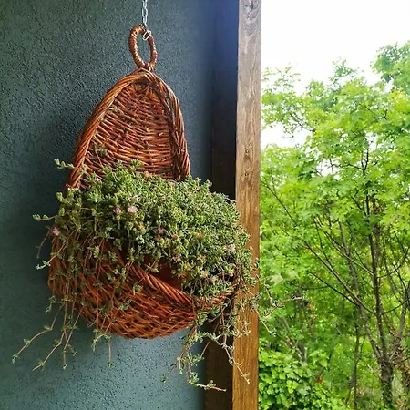 Morus Tiny House *