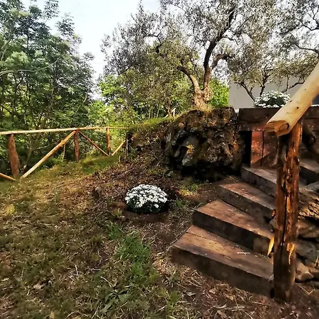 Country house Morus Tiny House *